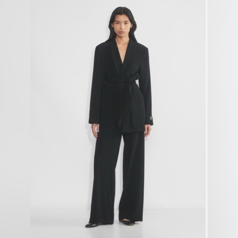 Nwt Aritzia Babaton Executive Blazer In Black Size 4 Mirror Crepe Belted